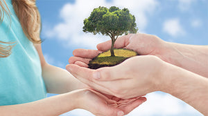 Living Green and Loving It