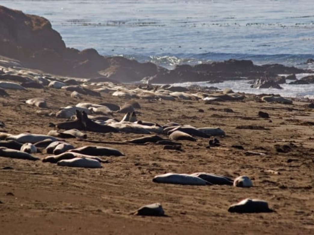 Eight Hikes to Catch the Northward Migration