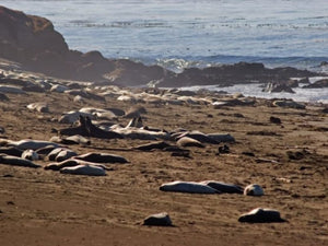 Eight Hikes to Catch the Northward Migration