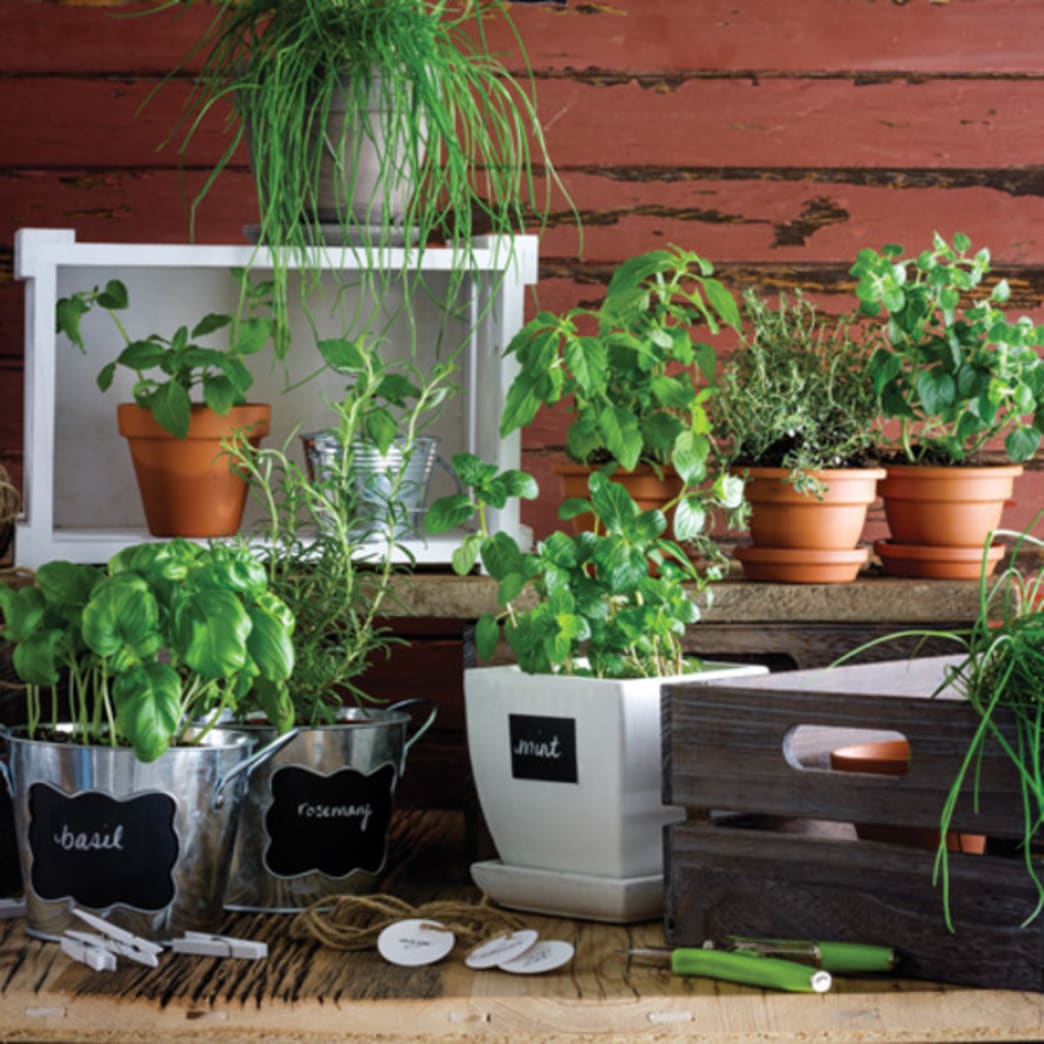 Herb Gardening 101