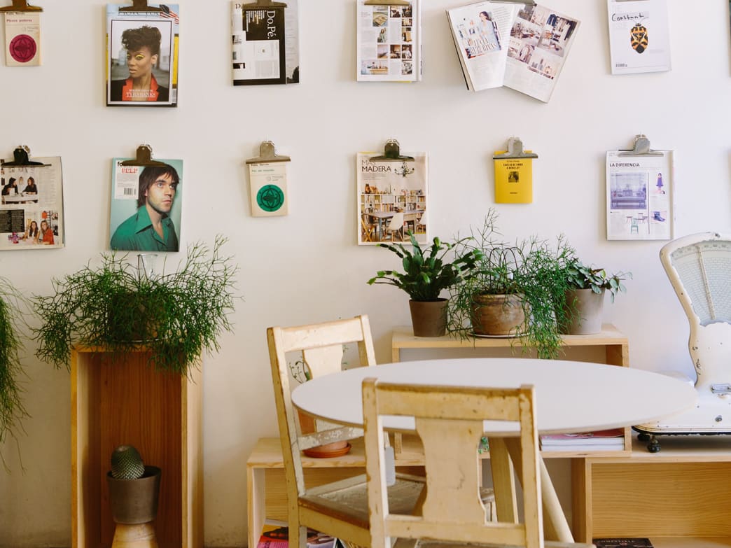 The best indoor plants for people who kill plants