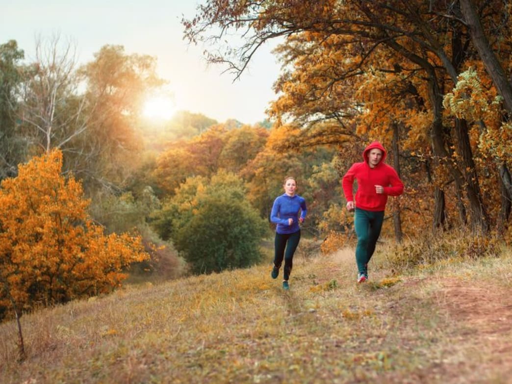 Skip The Gym, Head For The Forest
