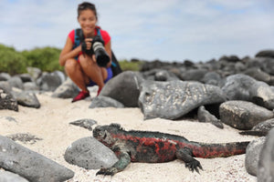 How to selfie responsibly, and other tips for not damaging wildlife on vacation