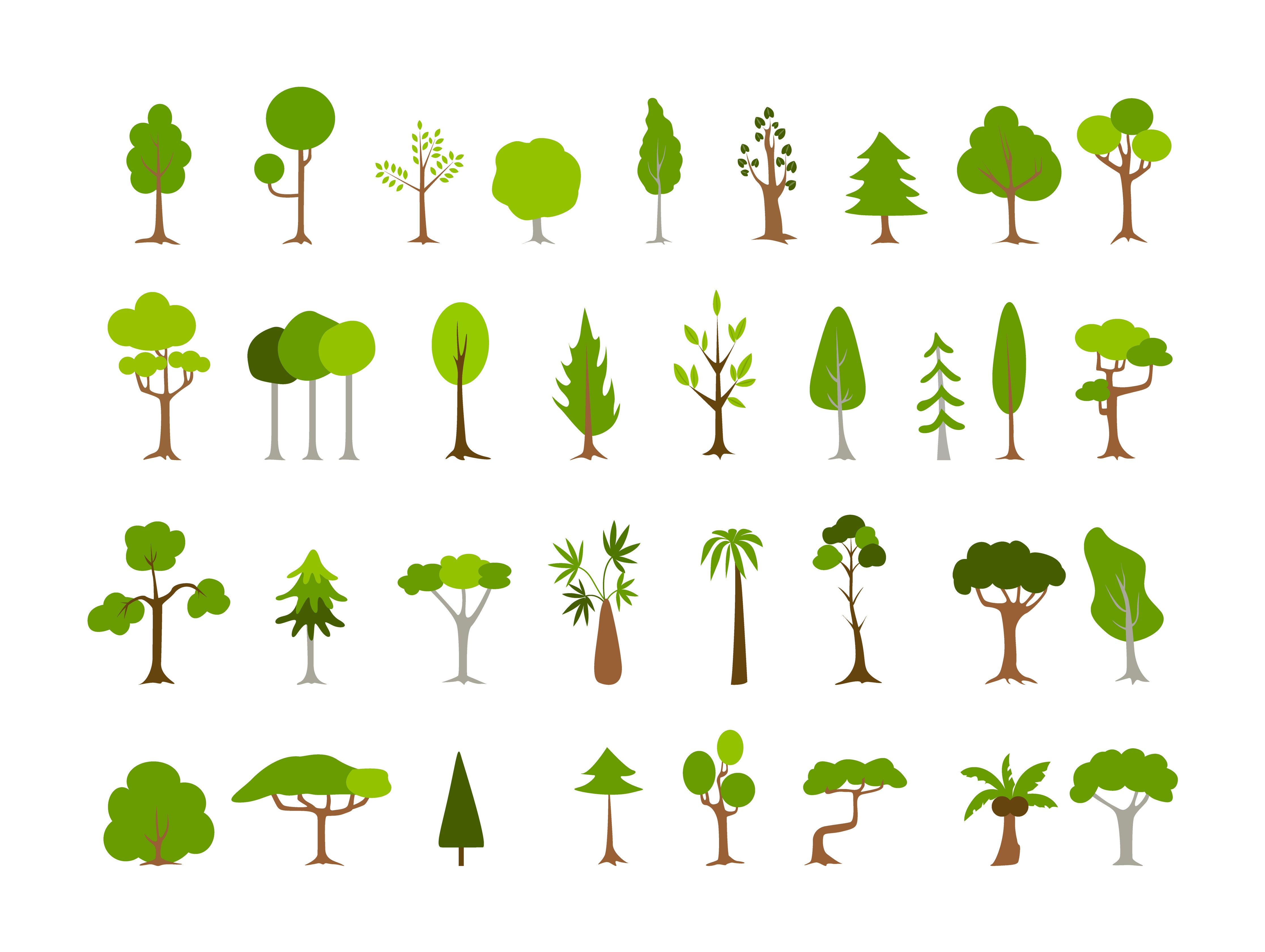 Trees Embody Symbolism and Meaning for Humans