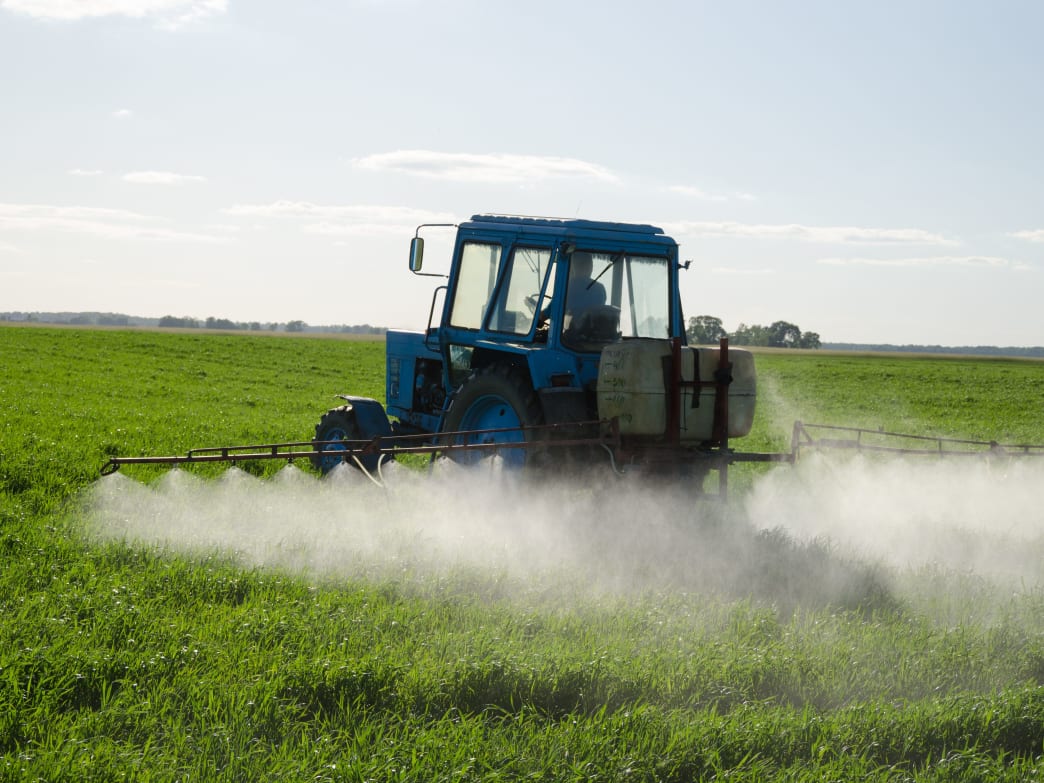 Pesticide Testing is Flawed—And It’s Harming Our Birds and Bees