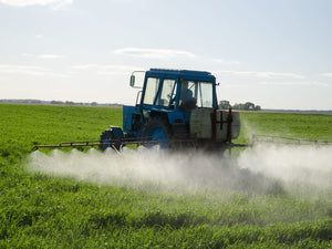 Pesticide Testing is Flawed—And It’s Harming Our Birds and Bees