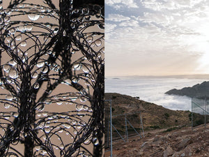 19 Schemes to Survive Climate Change