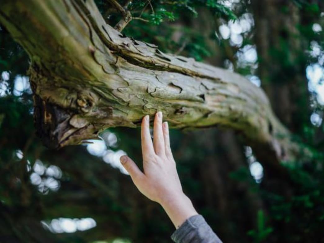 Nature, the Ultimate Anti-depressant