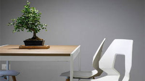 Feng Shui: How to Design Your Home for Good Energy